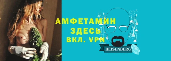 стаф Аркадак