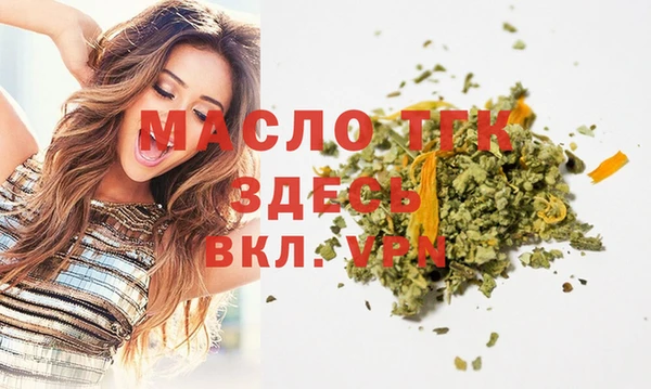 стаф Аркадак