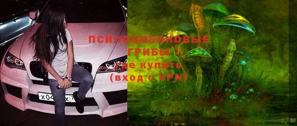стаф Аркадак