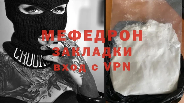 стаф Аркадак